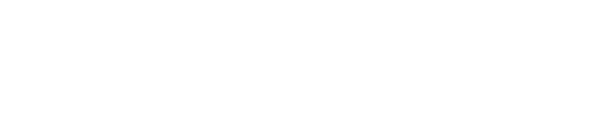 Anantum Logo